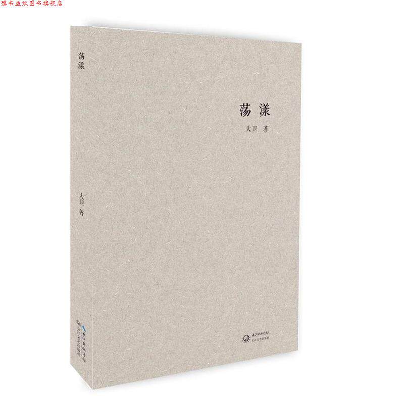 【正版书】 荡漾 大卫 长江文艺出版社