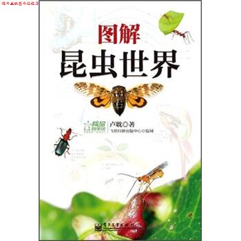 【正版书】 图解昆虫世界 卢耽 著 电子工业出版社