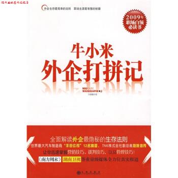 【正版书】 牛小米外企打拼记 洪湖浪 著 九州出版社