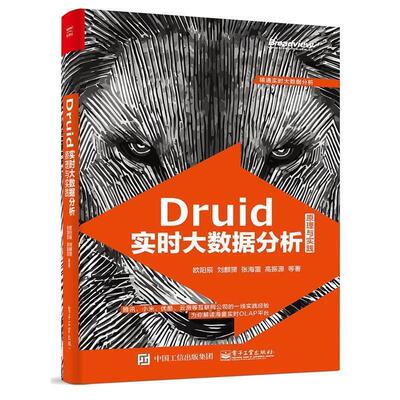 【正版书】 Druid实时大数据分析原理与实践 欧阳辰　等著 电子工业出版社
