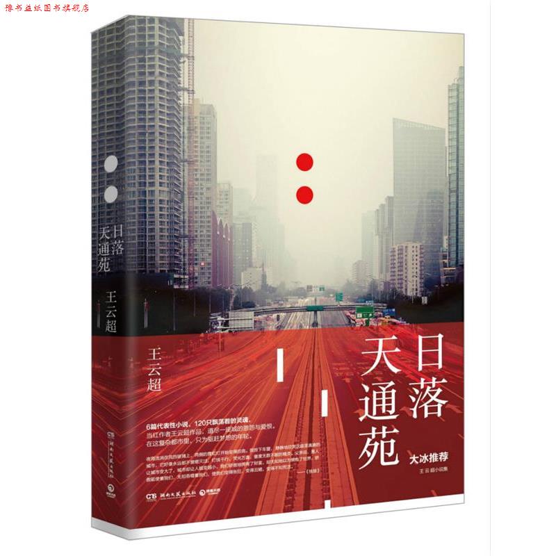 【正版书】 日落天通苑:大冰，当红作者王云超新作 王云超 湖南文艺出版社