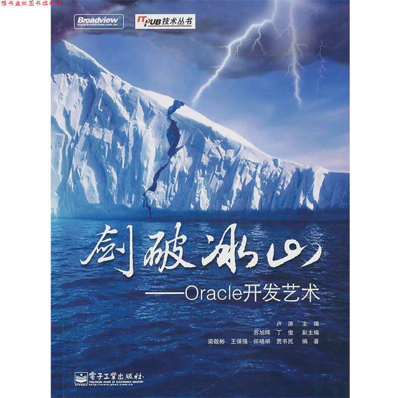 【正版书】 剑破冰山—Oracle开发艺术 卢涛主编,苏旭晖 丁俊 副主编,梁敬彬 王保强 怀敬明 贾书民 编著 电子工业出版社