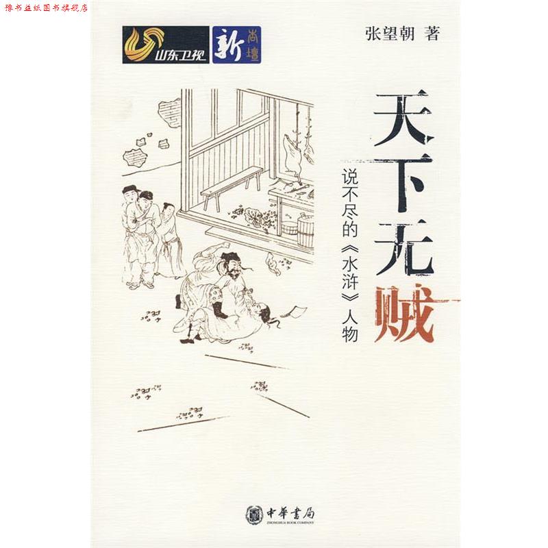【正版书】 天下无贼说不尽的《水浒》人物 张望朝 著 中华书局