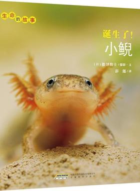 【正版书】 诞生了小鲵 生命的故事 [日]松泽阳士摄影文 安徽教育出版社