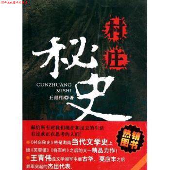 【正版书】 村庄秘史 王青伟 湖南人民出版社