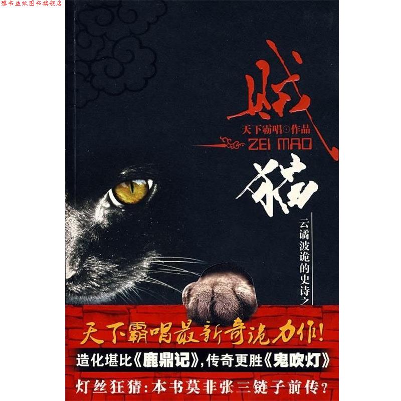 【正版书】 贼猫 天下霸唱 著 安徽文艺出版社