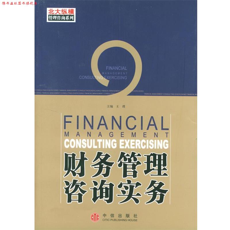 【正版书】 财务管理咨询实务 王璞,陆艳红 著 中信出版社