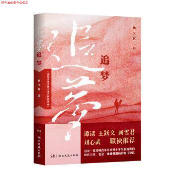 【正版书】 追梦 杨文辉 著 湖南文艺出版社