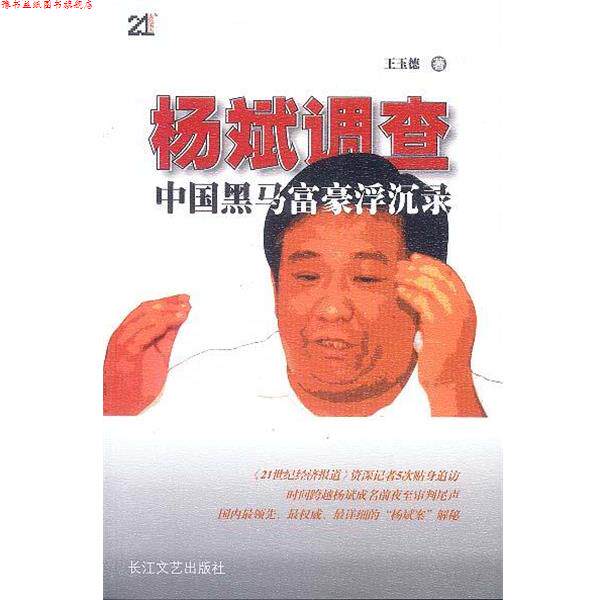 【正版书】 杨斌调查:中国黑马富豪浮沉录 王玉德 长江文艺出版社