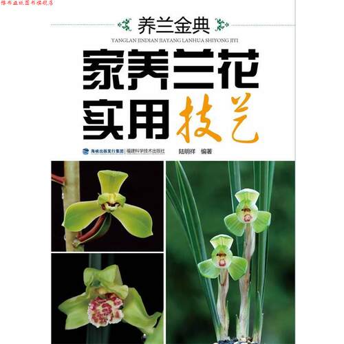 【正版书】 养兰金典 家养兰花实用技艺 陆明祥　著 福建科技出版社