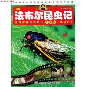 【正版书】 法布尔昆虫记 蝉 杨坤 中国大百科全书出版社