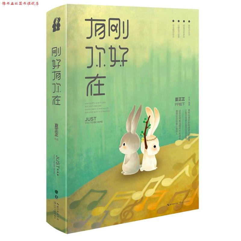 【正版书】 刚好有你在 夏正正 著 长江文艺出版社