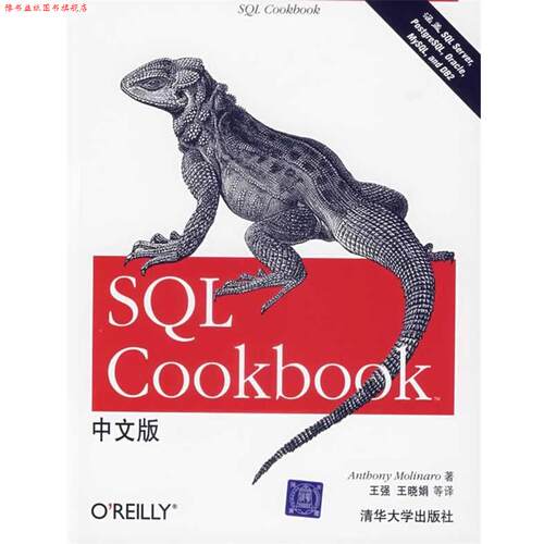 【正版书】 SQL Cookbook 中文版 (美)莫利纳罗 著,王强,王晓娟 等译 清华大学出版社