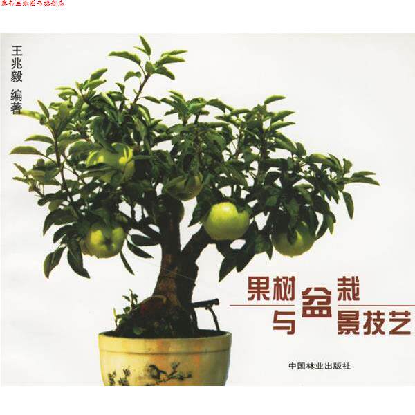 【正版书】 果树盆栽与盆景技艺 王兆毅 编著 中国林业出版社