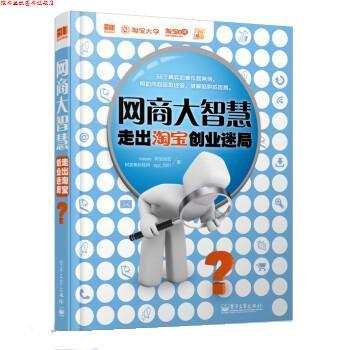 【正版书】 网商大智慧走出淘宝创业迷局 meyes,阿加加菲 电子工业出版社