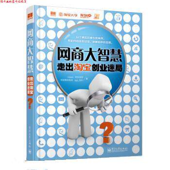 【正版书】 网商大智慧走出淘宝创业迷局 meyes,阿加加菲 电子工业出版社