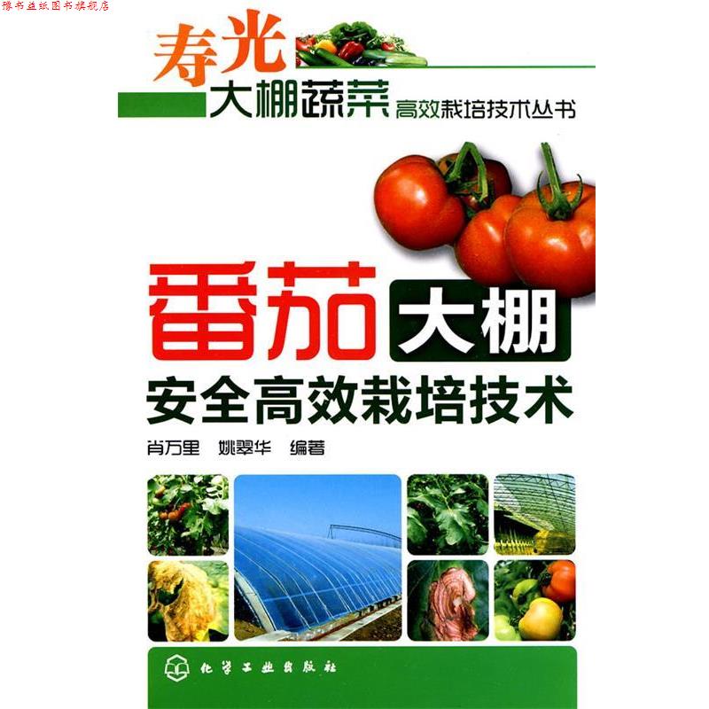 【正版书】 番茄大棚安全高效栽培技术 肖万里,姚翠华　编著 化学工业出版社