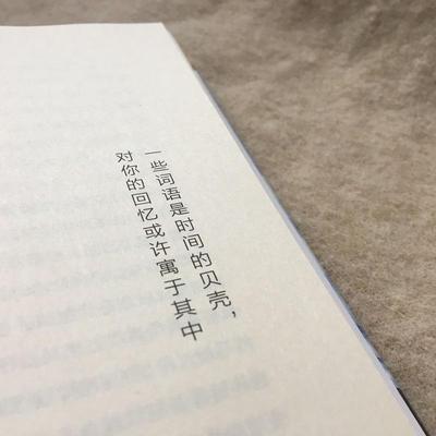 【正版书】 天使的忧伤 (冰)约恩·卡尔曼·斯特凡松(Jon Kalman Stefansson) 其他出版社