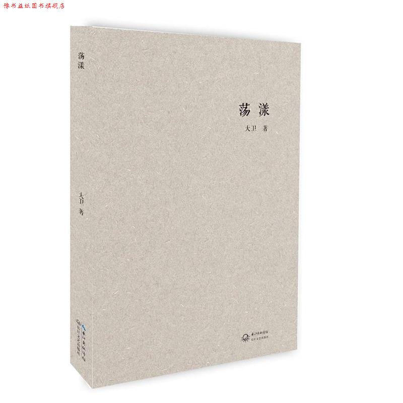 【正版书】 荡漾 大卫 长江文艺出版社