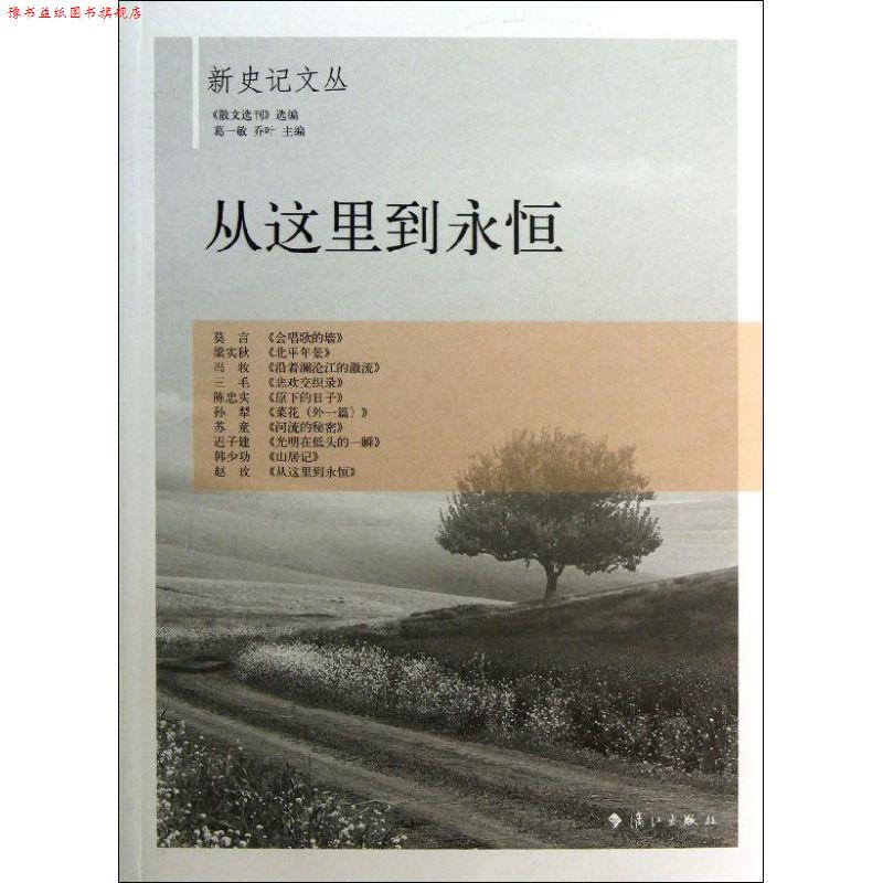 【正版书】 从这里到永恒 葛一敏,乔叶　主编 漓江出版社