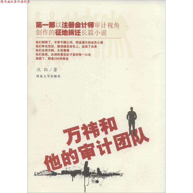 【正版书】 万祎 和他的审计团队 氿红 河北大学出版社