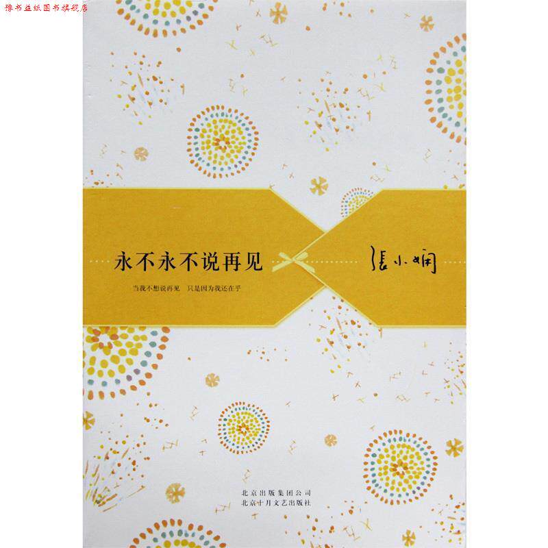 【正版书】 永不永不说再见 张小娴 北京十月文艺出版社