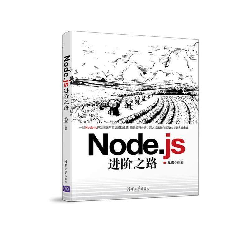 【正版书】 Node js进阶之路 尤嘉 清华大学出版社