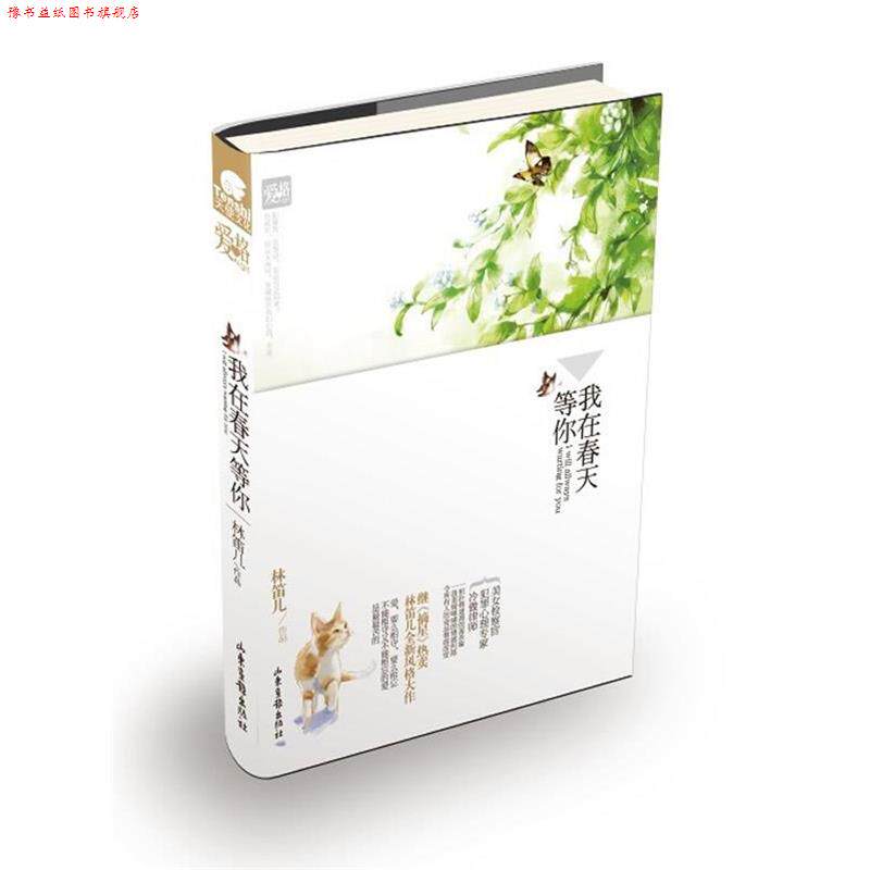 【正版书】 花火我在春天等你 林笛儿 著 山东画报出版社