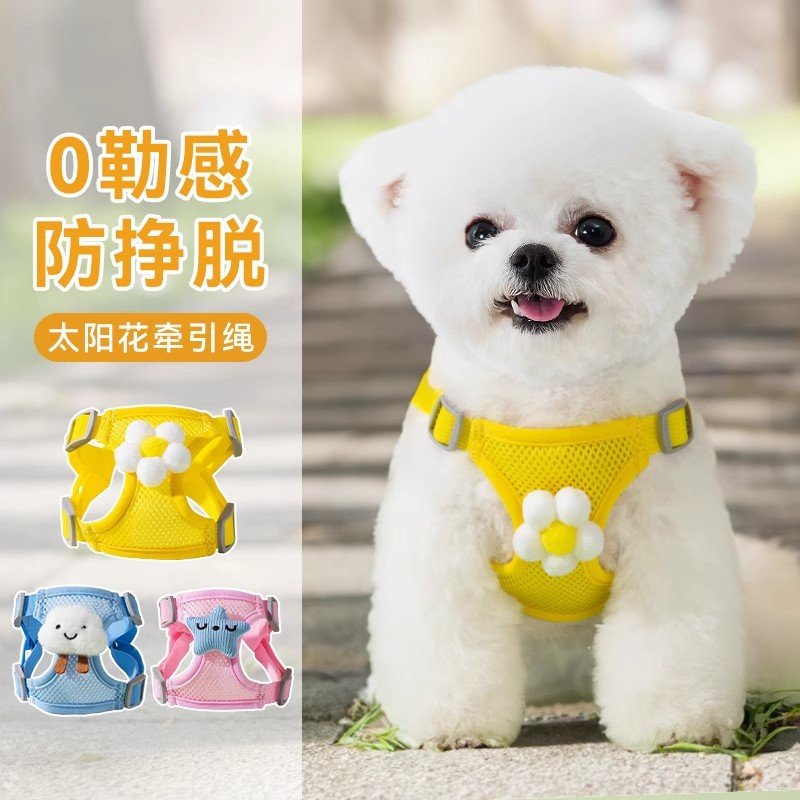 闻派小狗狗牵引绳小型犬泰迪比熊博美幼犬胸背带猫咪宠物狗链遛狗