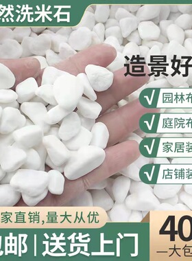 天然白色石子石头大小鹅卵石庭院铺路铺地小白石园林枯山水石子