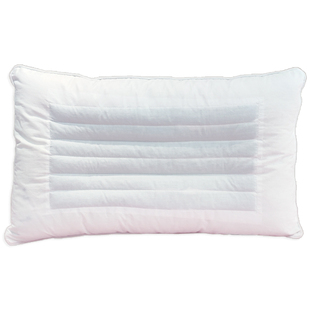 天然决明子枕头木棉枕芯单人助睡眠护颈椎攀枝花枕头心夏季送枕套