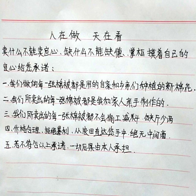 棉被棉絮冬被100%里外全棉被芯冬季加厚保暖花被子棉胎絮垫被