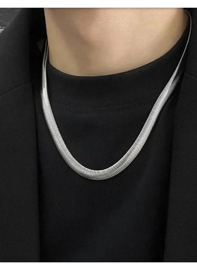 银色项链男生女小众设计宽版蛇骨链潮流美式嘻哈冷淡风锁骨链