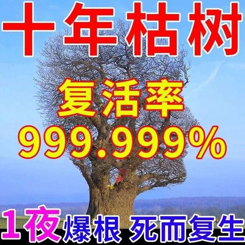 大树复活液死树成活生根药水枯树再生液强力壮苗猛生根营养液