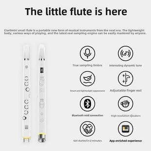 电管乐器 电葫芦 锣 电萨克斯 老年初学者数字 钹 小型长笛