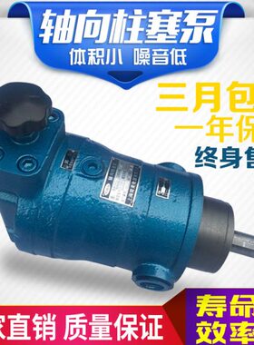 10SCY 25SCY 40SCY 63  80 108 100SCY 160SCY250SCY14-1B柱塞泵