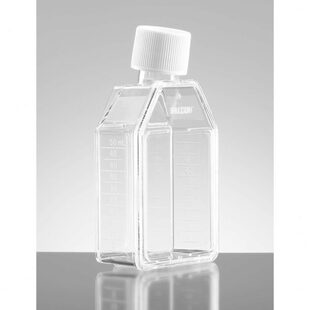 25cm2细胞培养瓶 353014 50ml斜颈 塞封盖 20个 标准TC Falcon