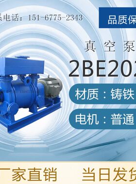 2BE203/2BE252/2BE253/2BE303/2BE353大型水环式真空抽气泵