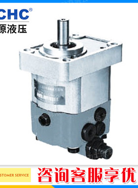 正品原装合肥长源复合双向齿轮油泵CBWS/CBWS-D308齿轮泵 代发