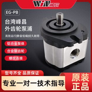 F3R F4R F12R F8R齿轮泵 F10R F2R F6R WINMOST峰昌液压EG F5R