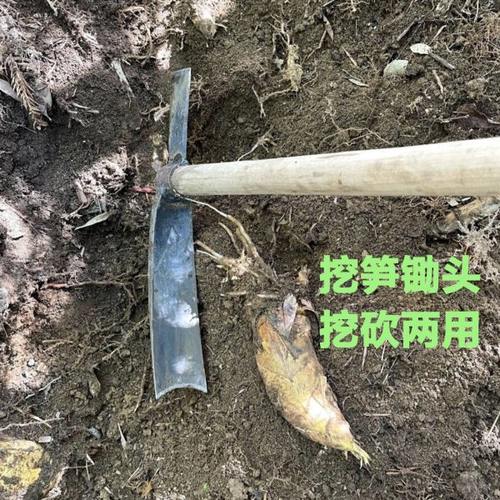 手工锻打挖笋锄头挖冬笋专用锄头神器挖春笋挖砍两用弹簧钢洋镐锄