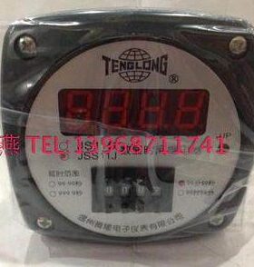 温州腾隆 高品质电子式时间继电器JSS11J、JS11S
