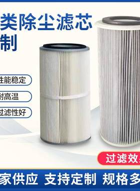 空气滤芯折叠式烟尘喷粉设备车间气体干燥除尘净化设备非标定制