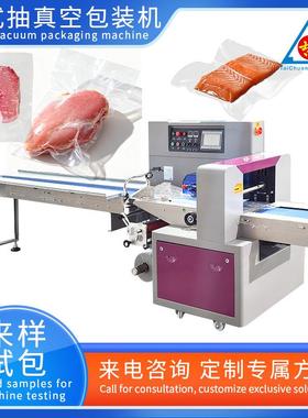 枕式抽真空包装机牛肉猪肉鸡鸭鱼虾生鲜袋装封口机全自动连续包装
