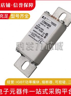 170M1760/1761/1762/1770/1771/1772/1773/1774/1775-1781熔断器