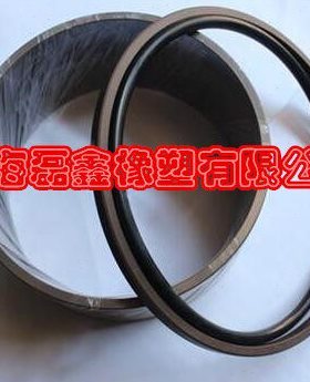 STD格来圈GSF240*219*8.1(O型圈在内) 活塞组合油封PG孔用