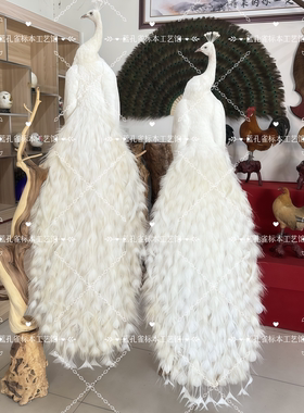 天然羽毛白孔雀标本室内客厅酒店装饰落地家用装饰工艺品摆件家居