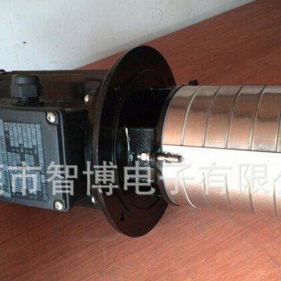 不锈钢浸入式多级离心泵LDPB2V-60 北京精雕机专用油泵