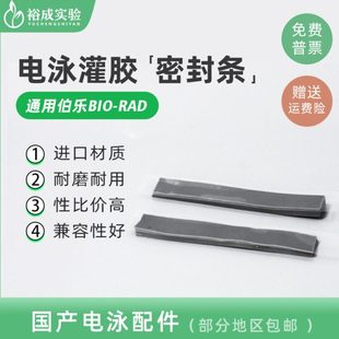 伯乐bio-rad 电泳仪匹配电泳灌胶用密封条制胶封条制胶垫1653305