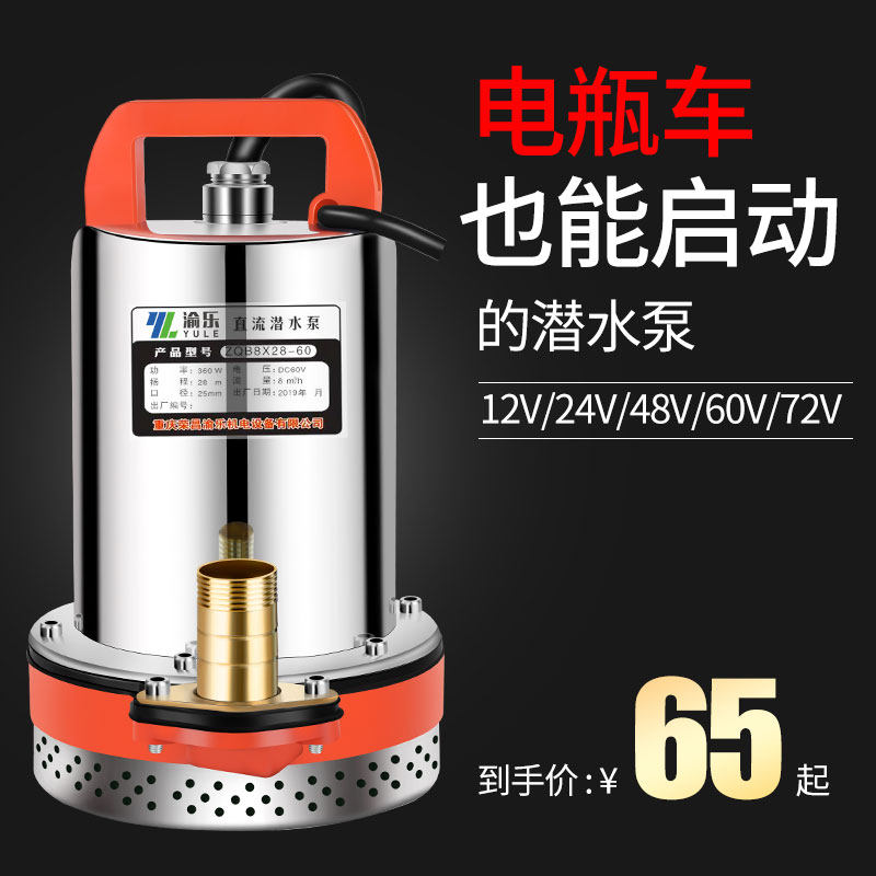 12V直流潜水泵24V48V60V伏家用电瓶车小型水泵电动车抽水机高扬程